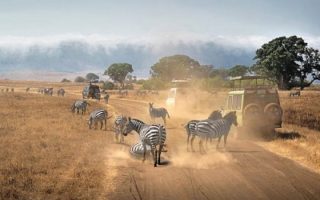 game drive in Ngorongoro crater