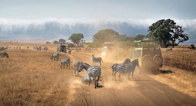 2022/2023 Top 5 Tanzania Safari Tours 