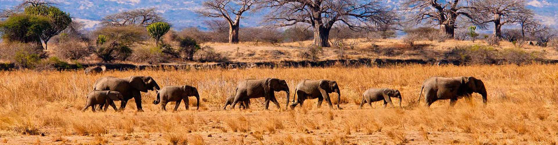 Tanzania's Eastern Tourism Circuit