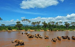 11 day Uganda, Tanzania and Kenya