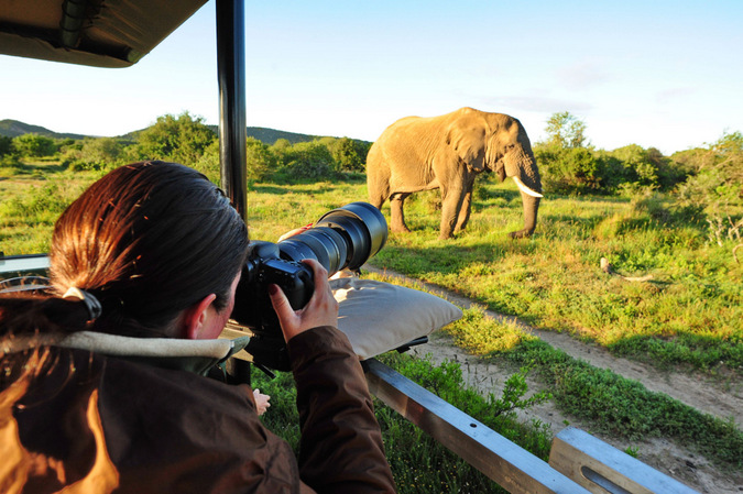 Top 10+ best Tanzania Safari Companies