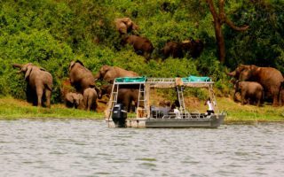 3 Days Queen Elizabeth Wildlife Safari