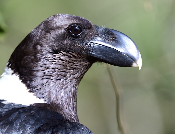 Understanding Travel Insurance in Tanzania