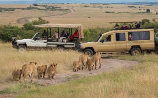 Reasons why it is hard to list down registered travel agencies in Kenya