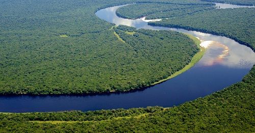 Salonga National Park