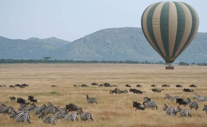 Serengeti balloon safaris 