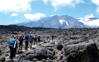 10 days Kilimanjaro hike and Arusha safari