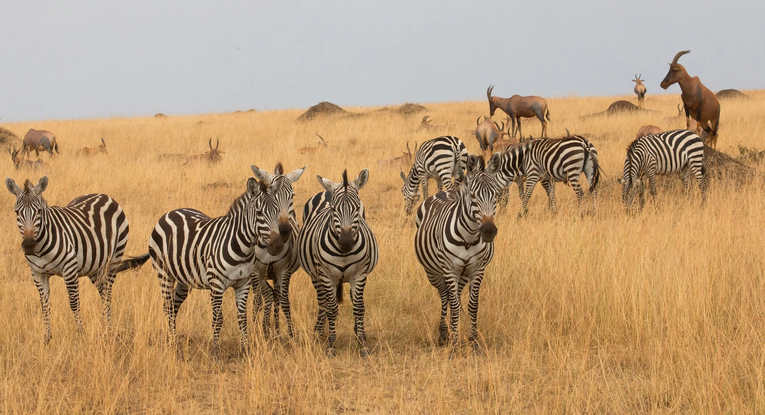 Upemba National Park