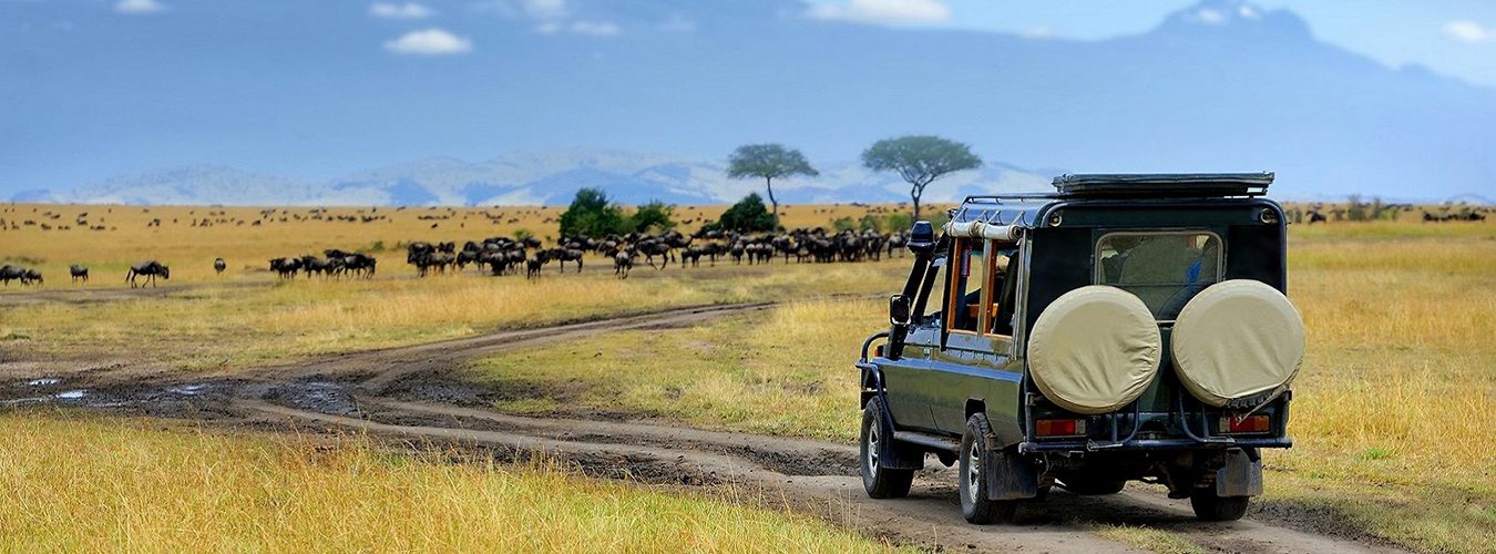 Tanzania tours car