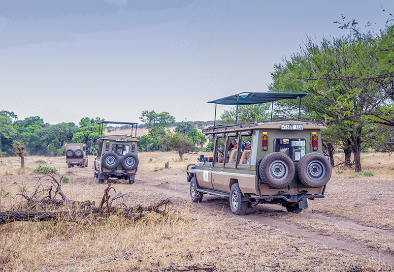 Mobile Safaris In Tanzania