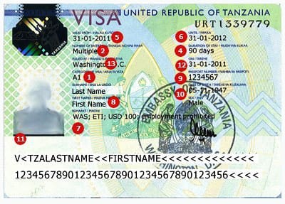 Guide to Tanzania Safari Visa 