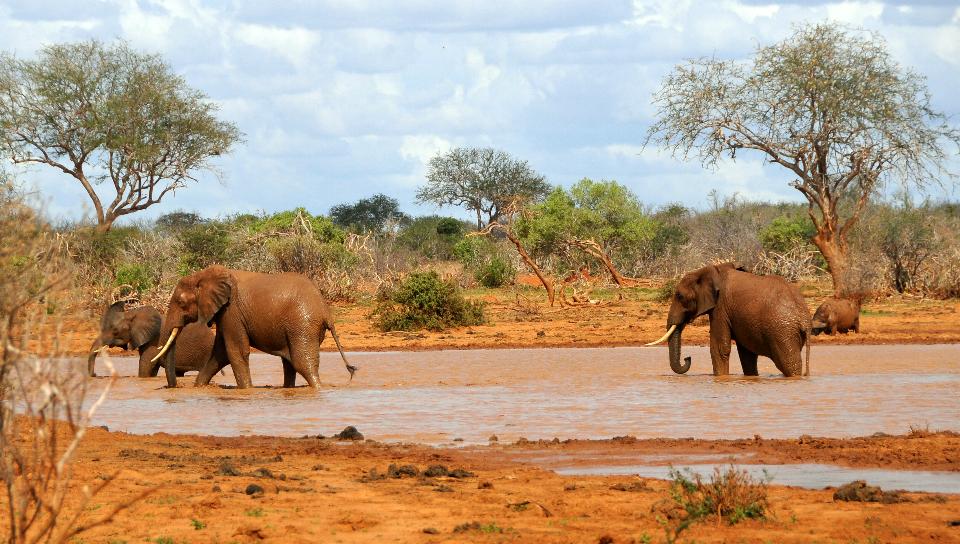 14 days Kenya safari 