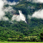 Mwanihana Peak climbing safaris