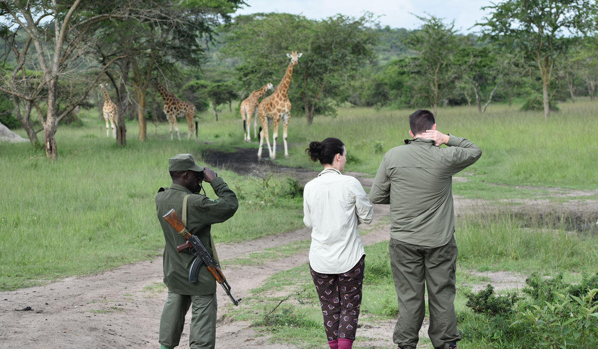 Enjoying a photo moment with the giraffes during a guided walking safari with the ranger guide