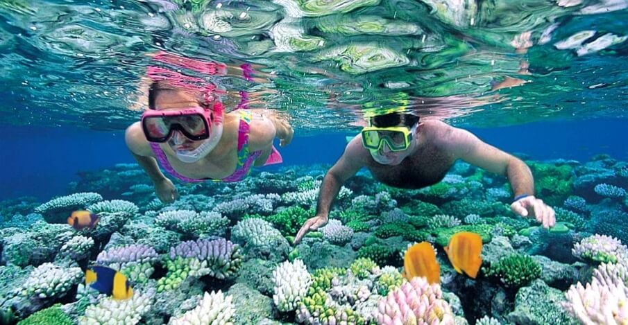 Mnemba Island Snorkeling Zanzibar Island Tanzania Tours Tanzania Mnemba Island Snorkeling Zanzibar Island Tanzania Tours Tanzania