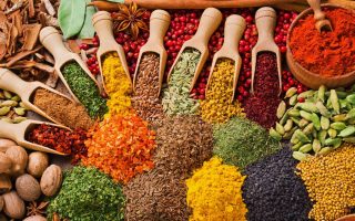 Activities to do around Zanzibar island